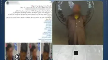 الداخلية تكشف ملابسات سرقة هاتف بأسلوب المغافلة من سيدة.. فيديو